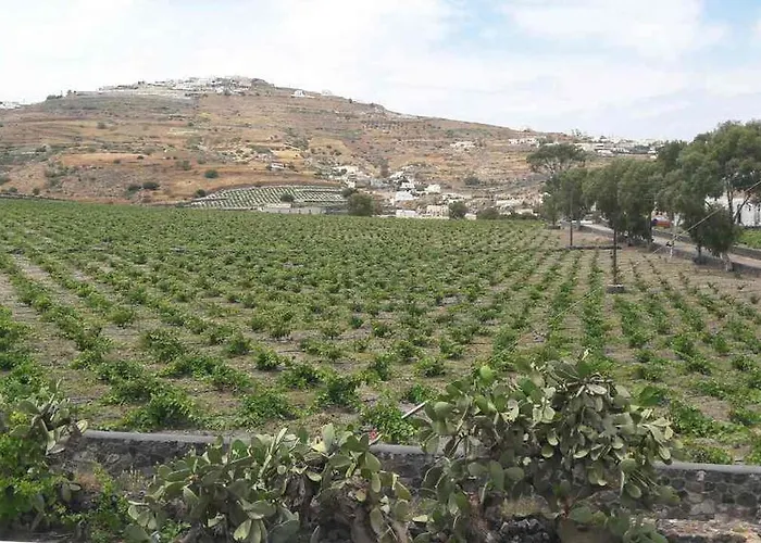 Cosy In Santorini * Exo Gonia